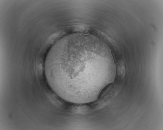 X0000113900716200910081829