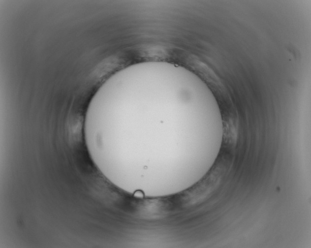 X0000113900717200910081829