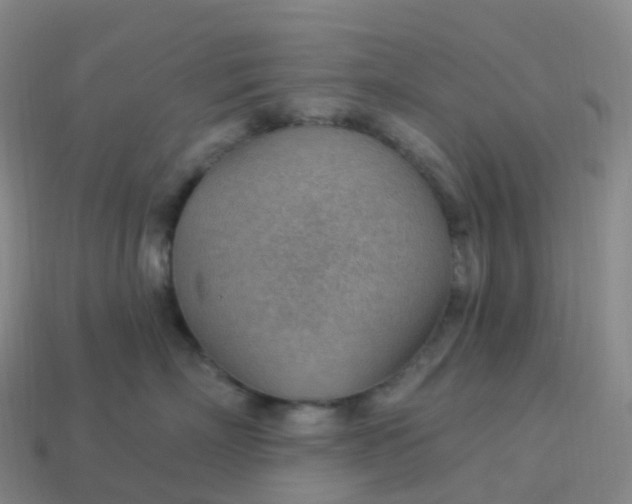 X0000113900718200910081829