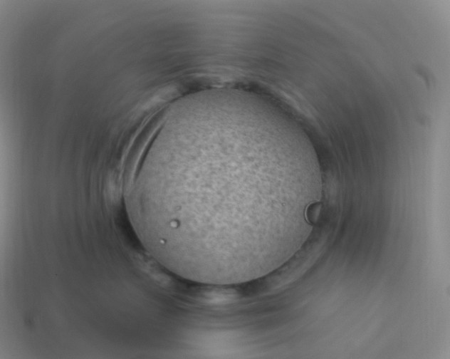 X0000113900719200910081829