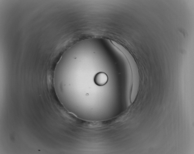 X0000113900720200910081829