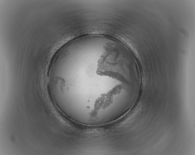 X0000113900721200910081828