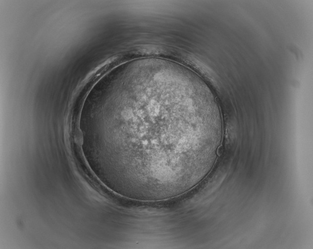 X0000113900722200910081828