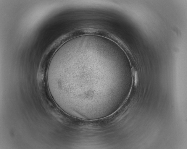 X0000113900723200910081828