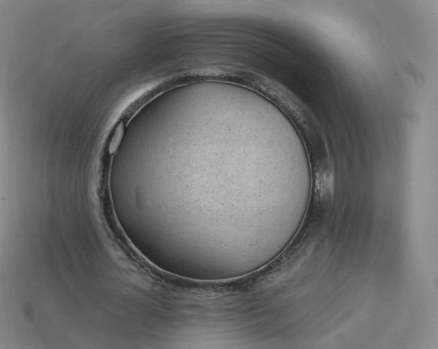 X0000113900724200910081828