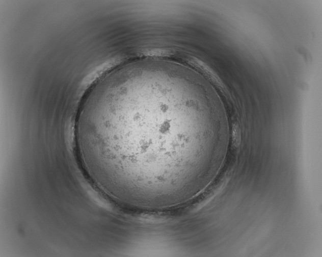 X0000113900725200910081828