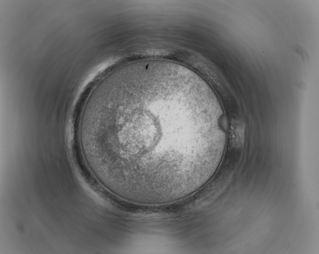 X0000113900726200910081828