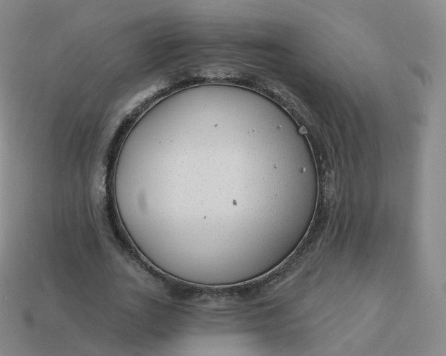 X0000113900727200910081828