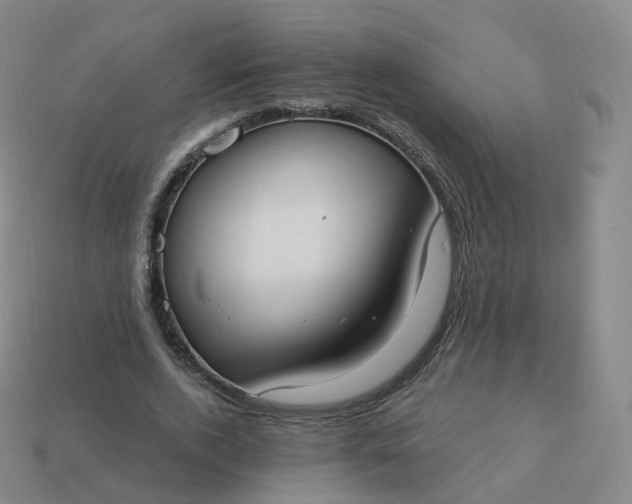 X0000113900728200910081828