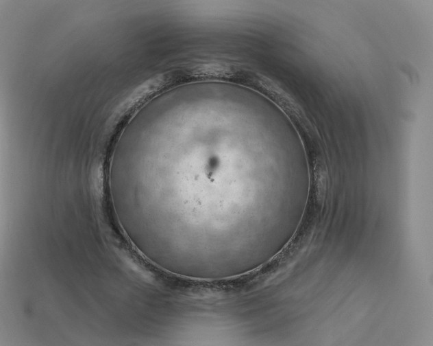 X0000113900729200910081828