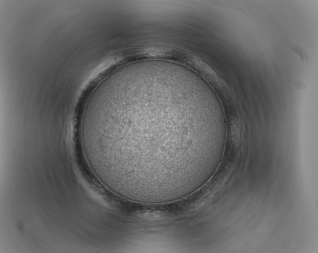 X0000113900730200910081828