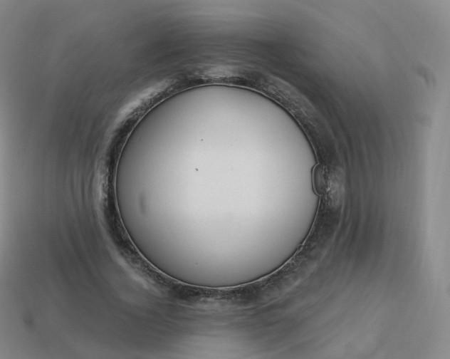 X0000113900732200910081828