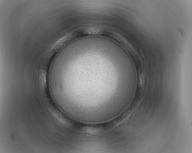 X0000113900733200910081828