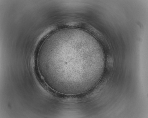 X0000113900734200910081828