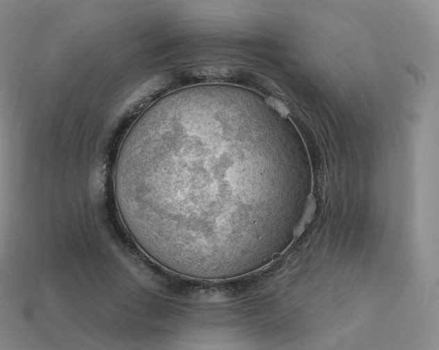 X0000113900735200910081828