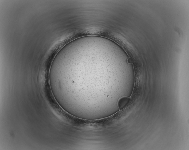 X0000113900736200910081828