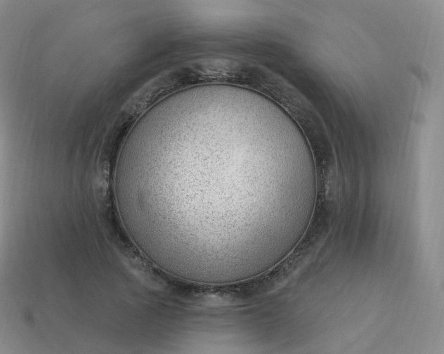 X0000113900737200910081828