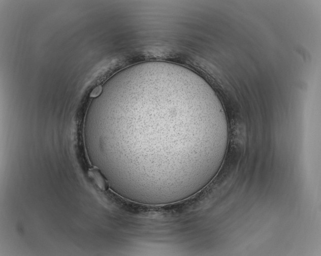 X0000113900738200910081829