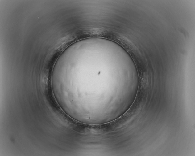 X0000113900739200910081829