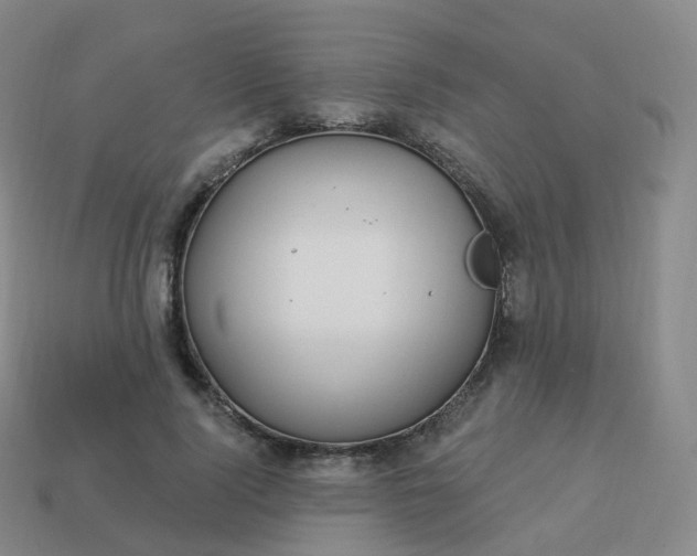 X0000113900740200910081829