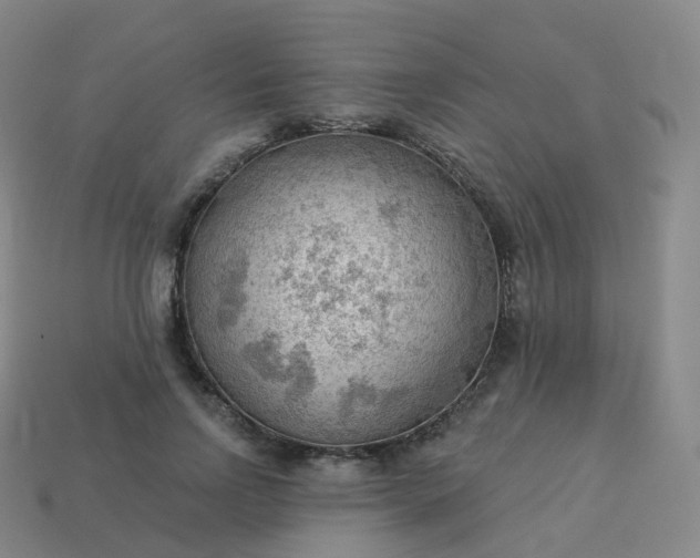 X0000113900742200910081829