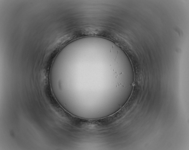 X0000113900743200910081829