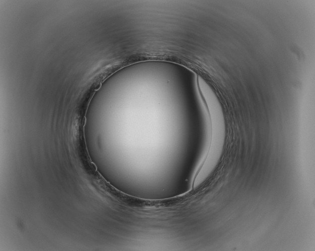 X0000113900744200910081829