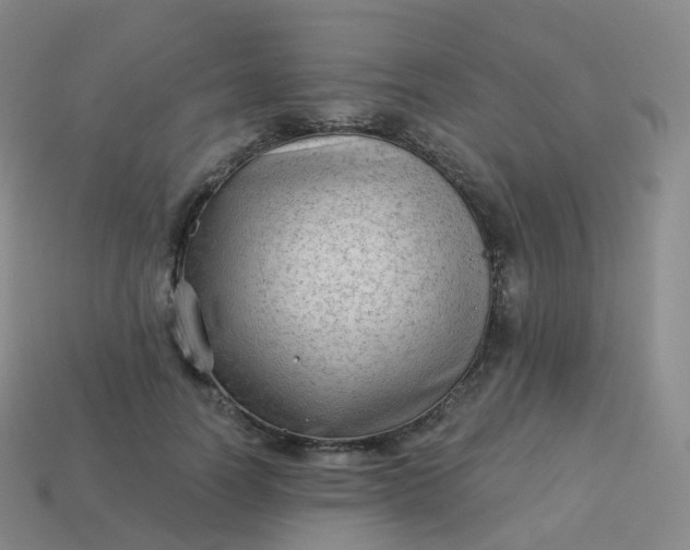 X0000113900746200910081829