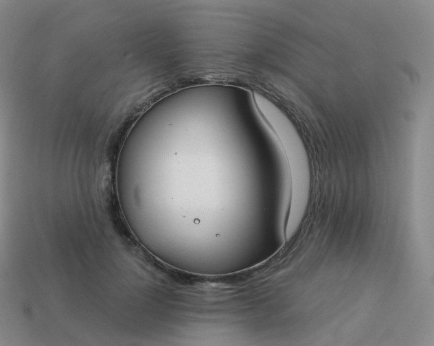 X0000113900748200910081829