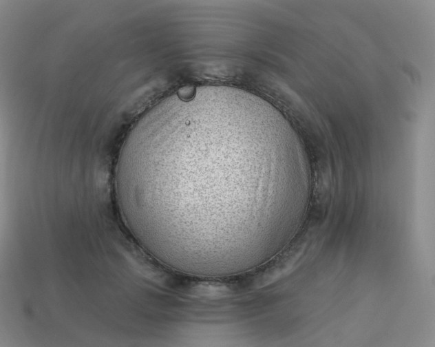 X0000113900749200910081829