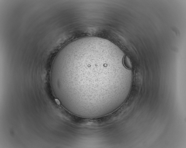 X0000113900750200910081829