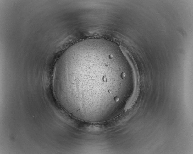 X0000113900751200910081829