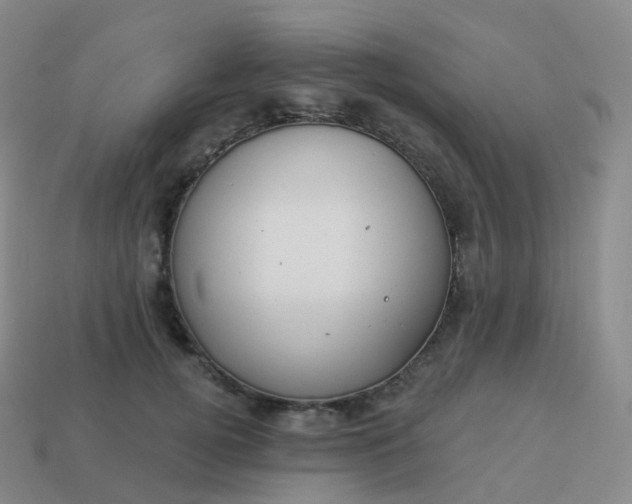 X0000113900752200910081829