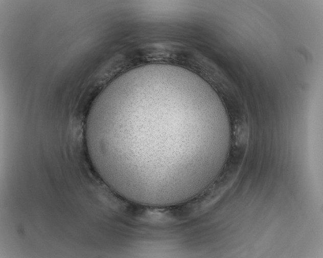 X0000113900753200910081829