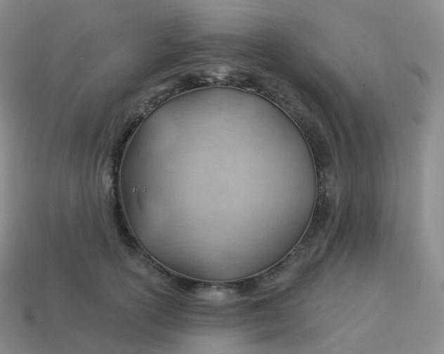 X0000113900754200910081829