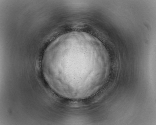 X0000113900755200910081829