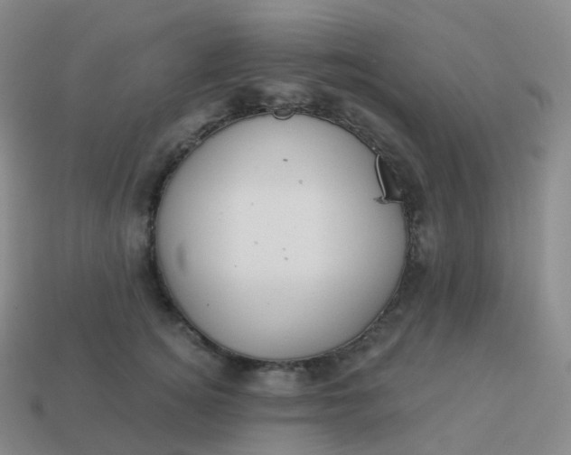 X0000113900756200910081829