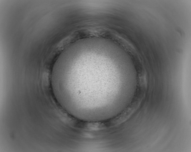 X0000113900757200910081829