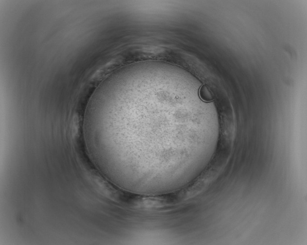 X0000113900758200910081829