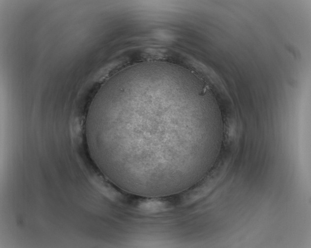 X0000113900759200910081829