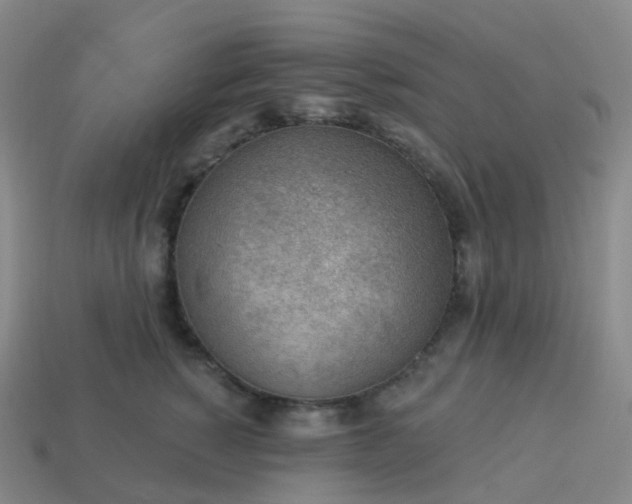 X0000113900760200910081829