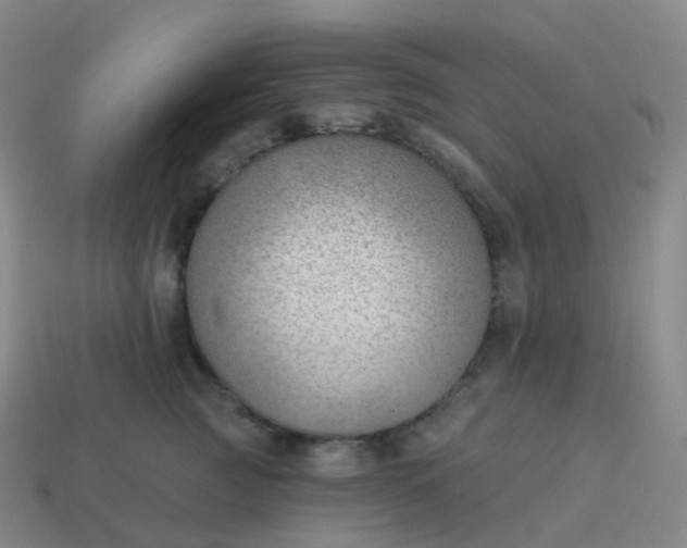 X0000113900761200910081829