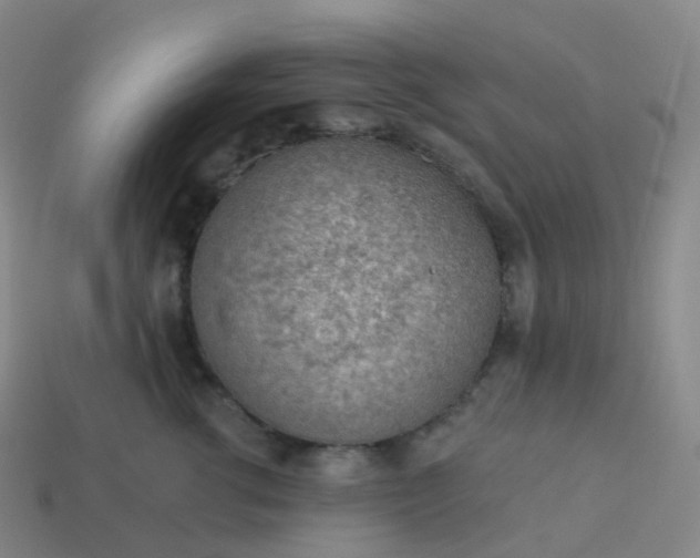 X0000113900762200910081829