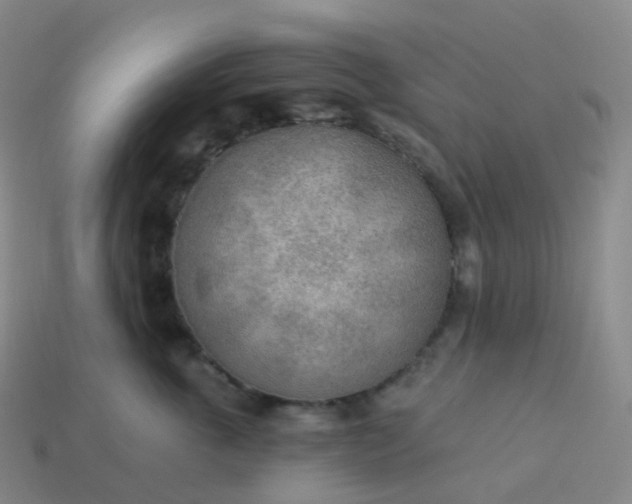 X0000113900763200910081829