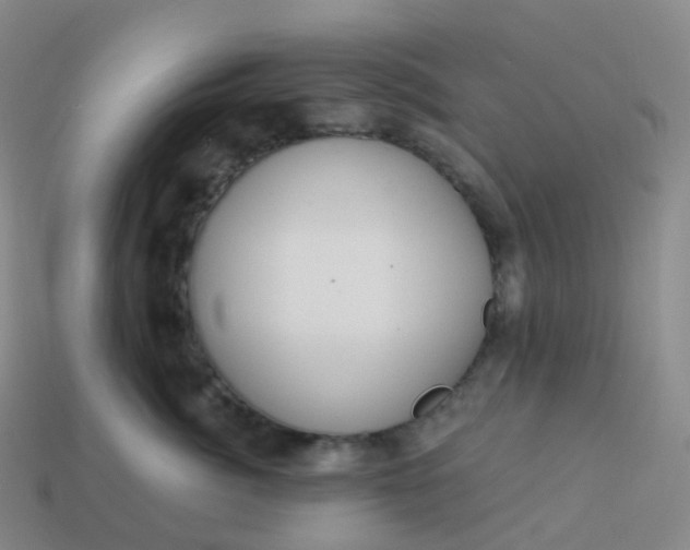 X0000113900764200910081829