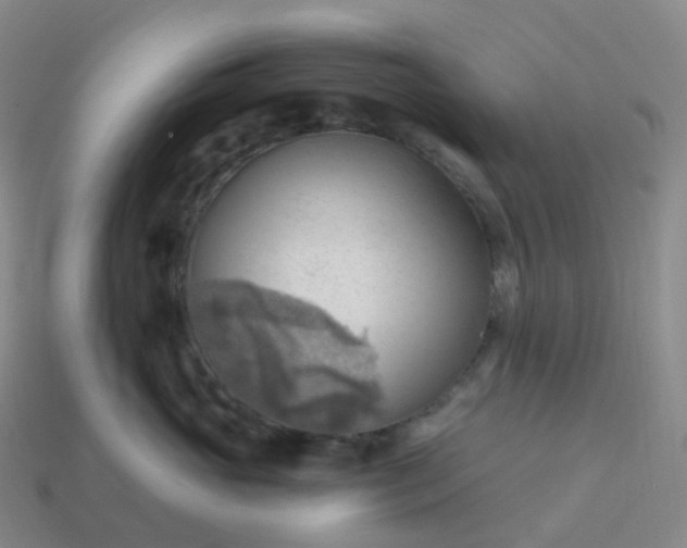 X0000113900765200910081829