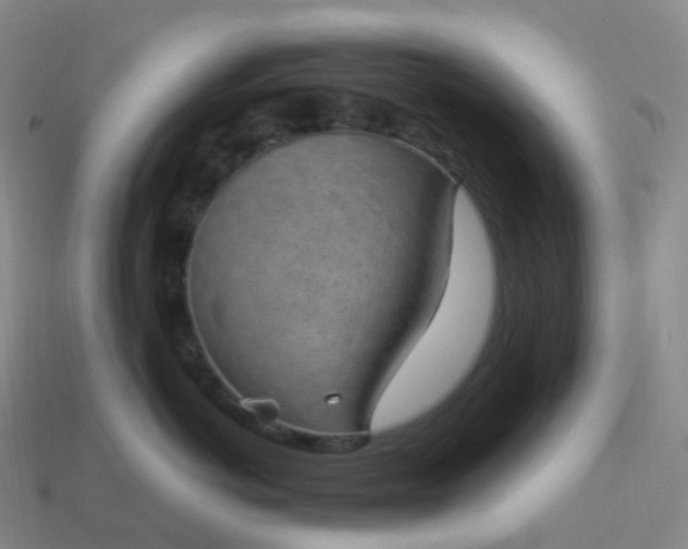 X0000113900766200910081829