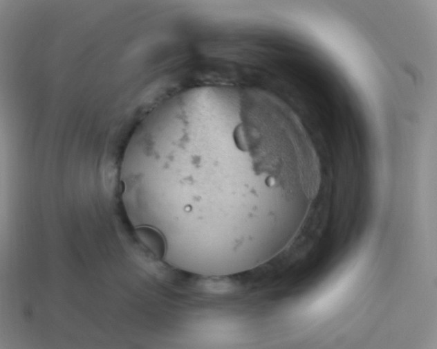 X0000113900767200910081829