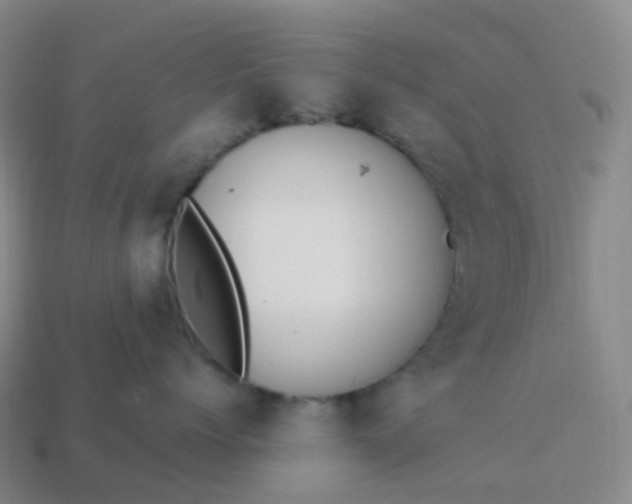 X0000113900768200910081829