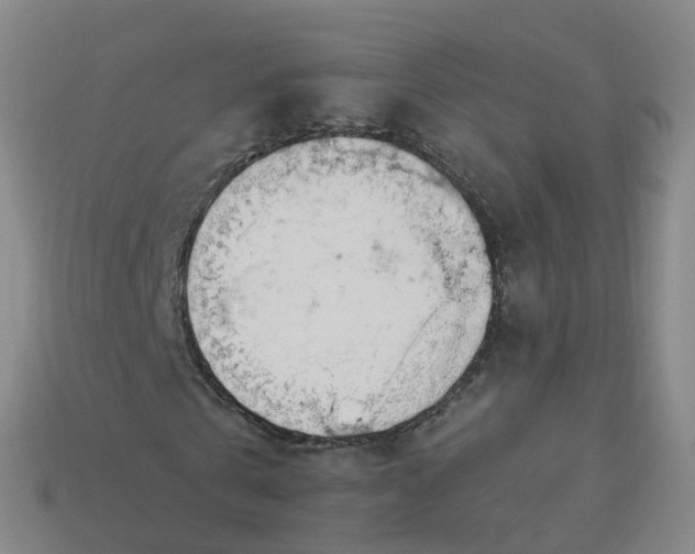 X0000113900769200910081828